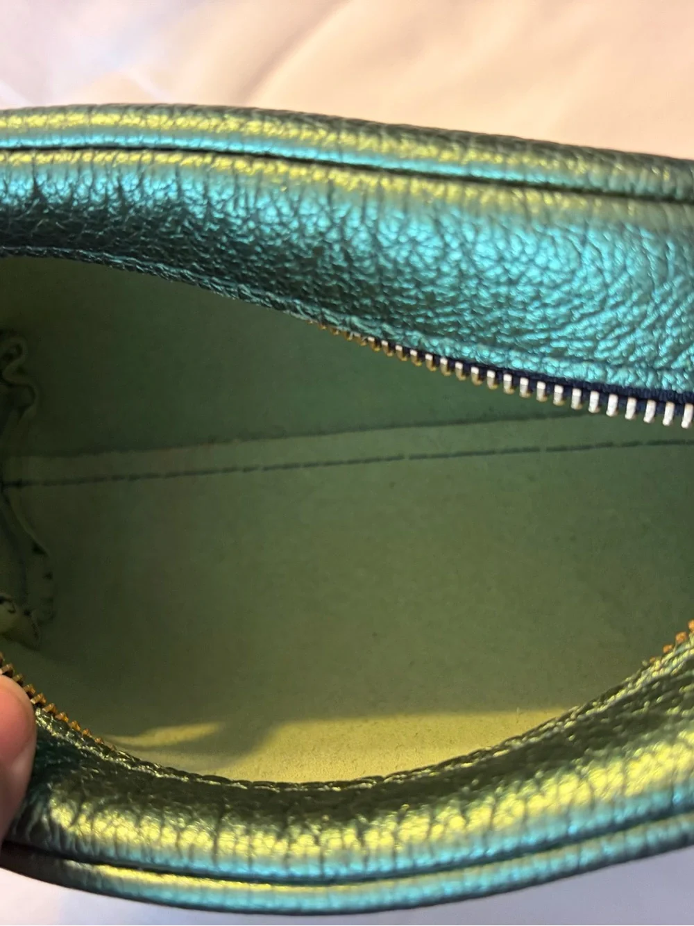 PLG Metallic Greench Leather Astra  Pouch